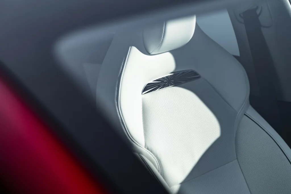 Tesla Model Y Performance Europa