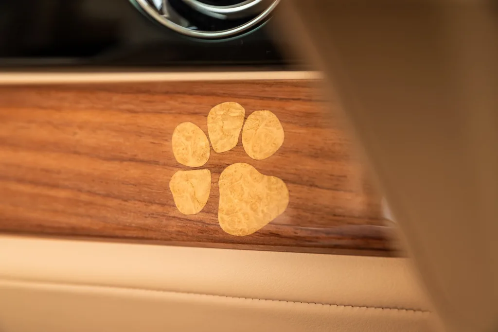 Rolls-Royce Spectre Bailey Perro